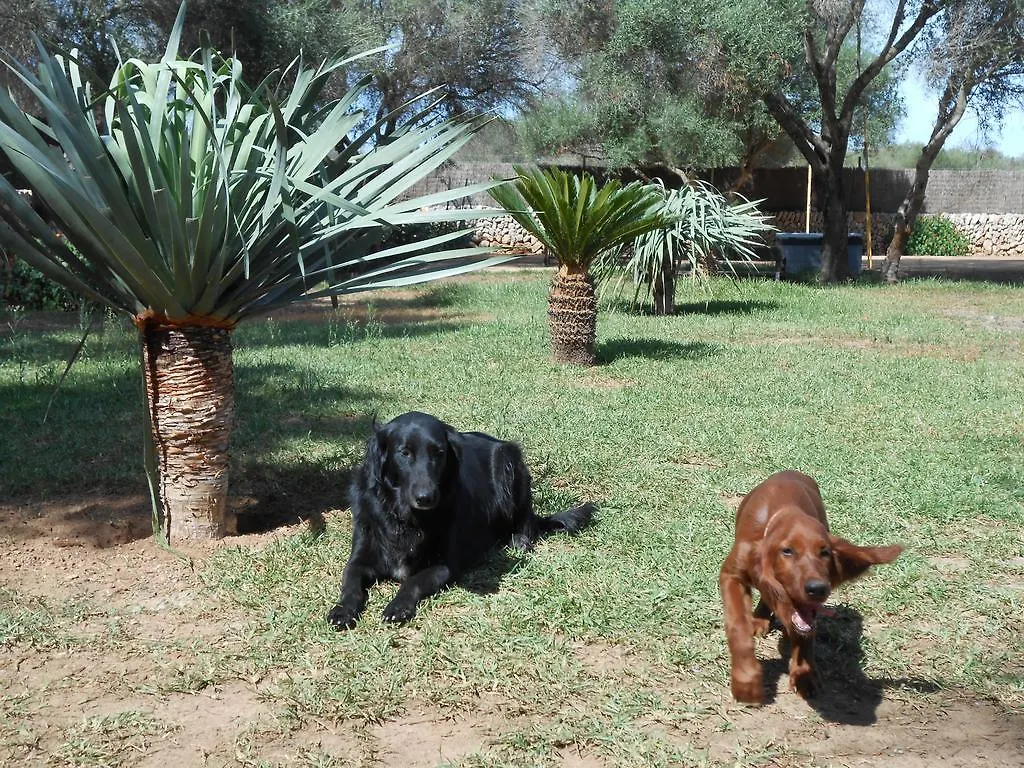 Agroturismo Can Llimona Campos  Farm stay Campos (Mallorca)